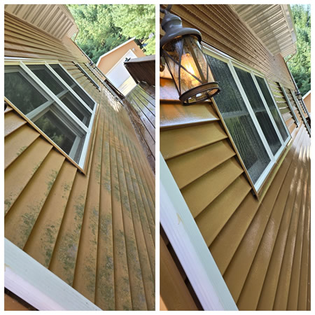 Pressure Washing Near Me: How to Choose the Best Company