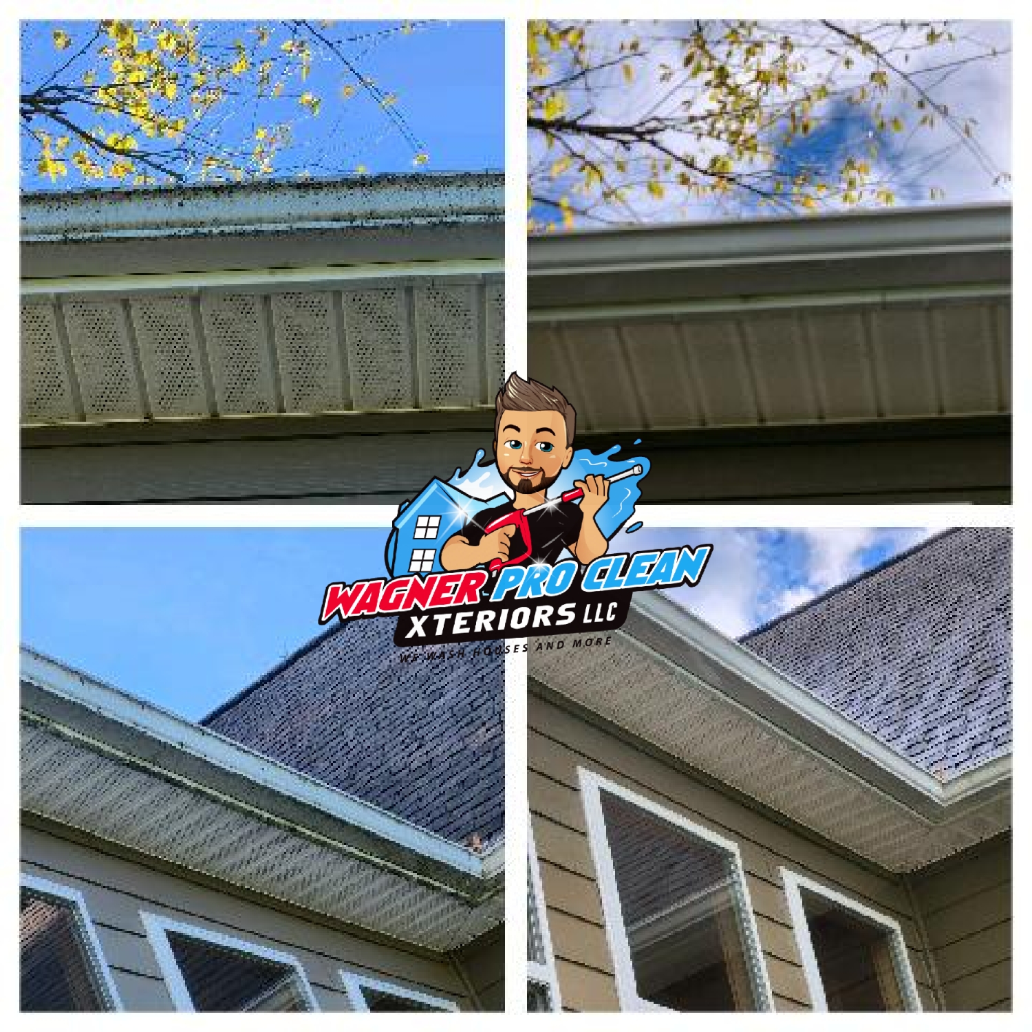 Professional Gutter Cleaning near Eau Claire, Wi