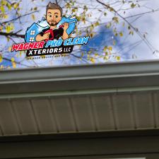 Professional-Gutter-Cleaning-near-Eau-Claire-Wi 0