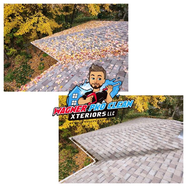 Professional Gutter Cleaning provided in Eau Claire, WI